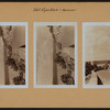 Manhattan: Fort Tryon Park - [Museum.]