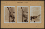 Manhattan: Fort Tryon Park - [Museum.]