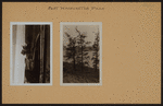 Manhattan: Fort Washington Park - [Entrance to Cloisters.]