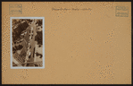 Manhattan: Greenwich Avenue - Horatio Street