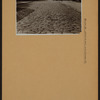 Manhattan: Grove Street - 7th Avenue South