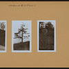 Manhattan: Inwood Hill Park.