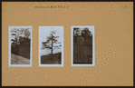 Manhattan: Inwood Hill Park.