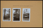 Manhattan: Inwood Hill Park.