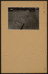 Manhattan: Lenox Avenue - Westchester Avenue