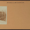 Manhattan: Park Avenue - 50th Street