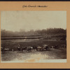 Manhattan: Polo grounds.