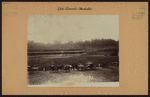 Manhattan: Polo grounds.
