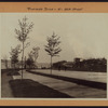 Manhattan: Riverside Drive - 90th Street