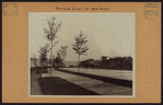 Manhattan: Riverside Drive - 90th Street