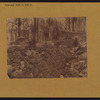 Manhattan: Riverside Drive - 104th Street