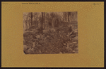 Manhattan: Riverside Drive - 104th Street