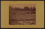 Manhattan: Riverside Drive - 113th Street