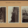 Manhattan: Riverside Drive - 177th Street (West)