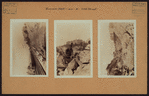 Manhattan: Riverside Drive - Van Siclen Avenue