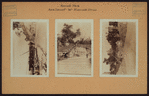 Manhattan: Riverside Drive - 79th Street