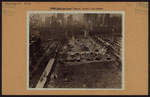 Manhattan: 5th Avenue - 49th Street (West)