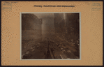 Manhattan: Broadway - 43rd Street
