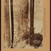 Manhattan: Washington Street - York Street