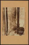 Manhattan: Washington Street - York Street