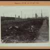 Queens: 11th Street - South 51st Avenue.