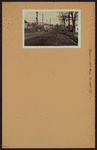 Queens: 14th Avenue - 147th Street