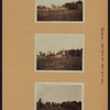 Queens: 19th Avenue - 45th Street