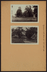 Queens: 19th Avenue - 79th Street