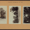Queens: 19th Road - 78th Street