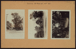 Queens: 19th Road - 78th Street