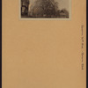 Queens: 37th Avenue - Parsons Boulevard