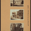 Queens: 37th Avenue - Prince Street