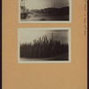 Queens: 38th Street - 19th Avenue