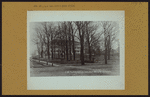 Queens: 40th Avenue - Main Street