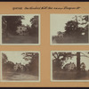 Queens: 109th Avenue - Pinegrove Street