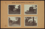 Queens: 109th Avenue - Pinegrove Street
