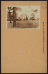 Queens: 109th Avenue - Pinegrove Street