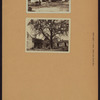 Queens: 109th Road - Farmers Boulevard