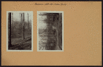 Queens: 188th Street - Soho Drive
