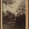 Queens: Alley Park East - White Plains Road