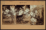 Queens: Cloverdale Boulevard - Northern Parkway