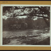 Queens: Alley Pond - [Alley Park.]