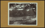 Queens: Alley Pond - [Alley Park.]