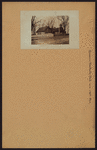 Queens: Brookville Boulevard - 136th Avenue