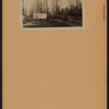 Queens: Browvale Drive - Northern Boulevard