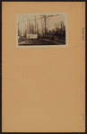 Queens: Browvale Drive - Northern Boulevard