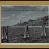 Queens: Chisholm Park - [Whitestone.]