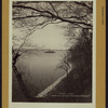 Queens: Chisholm's Point.