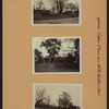 Queens: Collins Place - Northern Boulevard