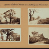 Queens: Colonial Avenue - Nassau Boulevard